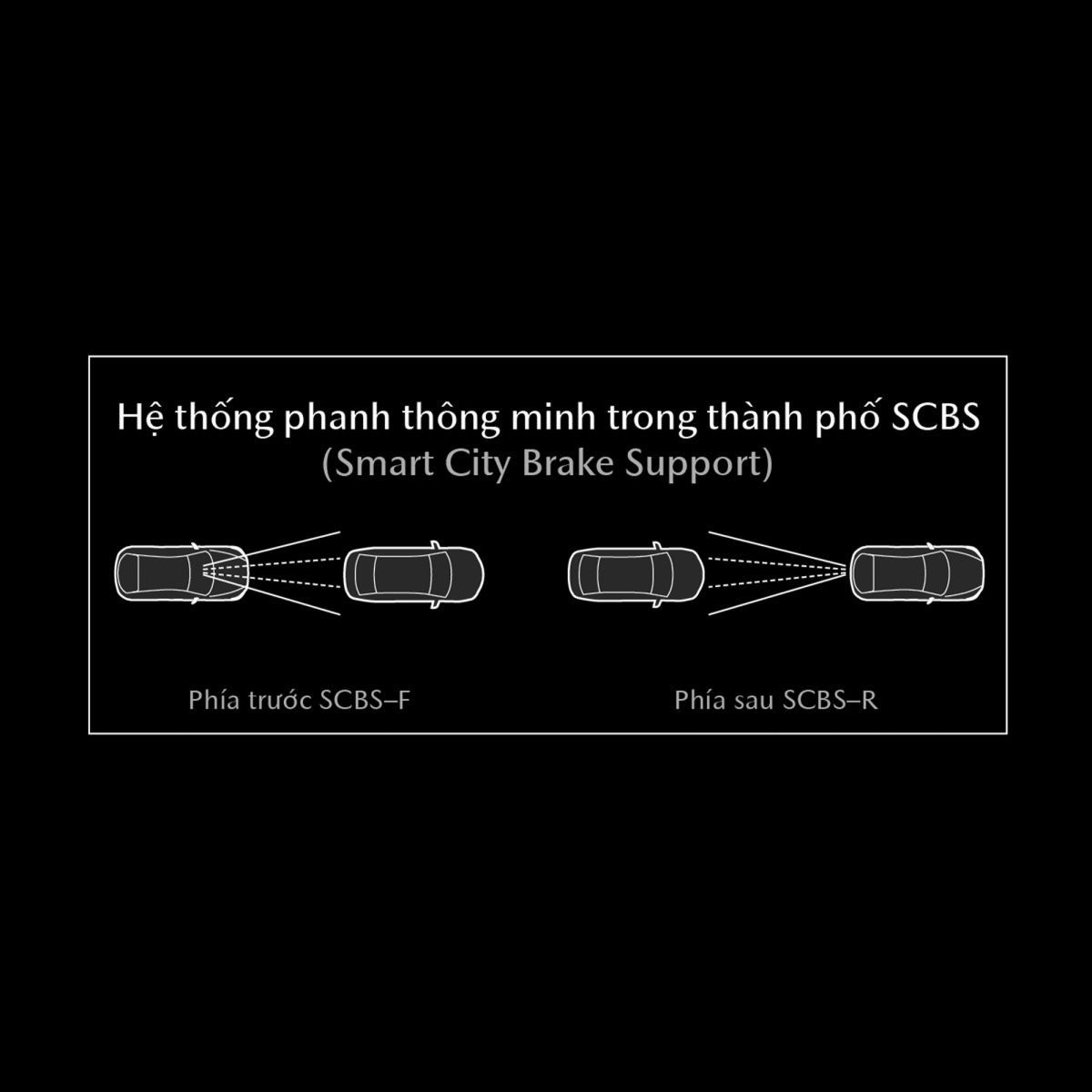 HỖ TRỢ PHANH THÔNG MINH (SCBS)