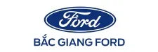 dự án thiết kế website miền bắc - bắc giang ford